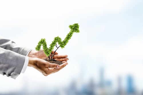 Hands holding plant shaped like a line graph going up